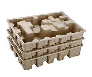 紙塑樱桃免费视频